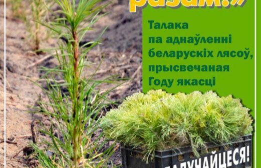 Добровольная акция «Аднавім лясы разам!»