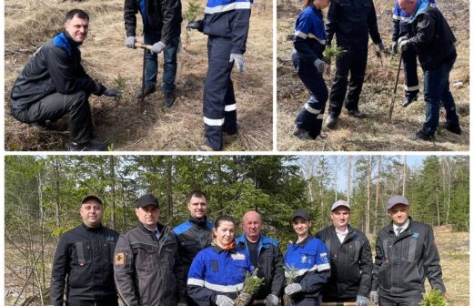 Коллектив РУП СГ-ТРАНС присоединился к республиканской акции «Аднавім лясы разам!»