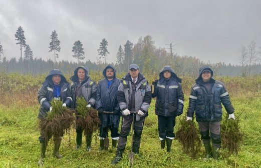 Республиканская акция «Дай лесу новае жыццё!»